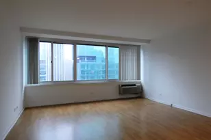 211 E Ohio St, Chicago, IL 60611 - Photo 5