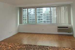 211 E Ohio St, Chicago, IL 60611 - Photo 9