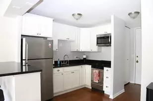 1 E Scott St, Chicago, IL 60610 - Photo 7