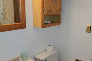 132 W Hartford Dr, Schaumburg, IL 60193 - Photo 13
