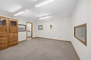17119 Dooneen Ave, Tinley Park, IL 60477 - Photo 19