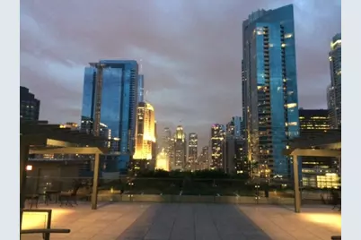 474 N Lake Shore Drive #4203, Chicago, IL 60611 - Photo 13