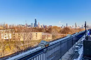 1151 W 14th Pl, Chicago, IL 60608 - Photo 33
