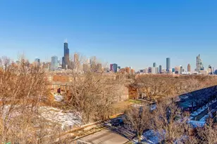 1151 W 14th Pl, Chicago, IL 60608 - Photo 35