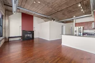 1151 W 14th Pl, Chicago, IL 60608 - Photo 11