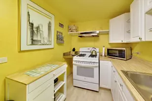 253 E Delaware Pl, Chicago, IL 60611 - Photo 13