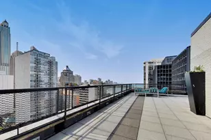 253 E Delaware Pl, Chicago, IL 60611 - Photo 37