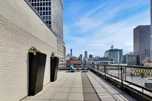 253 E Delaware Pl, Chicago, IL 60611 - Photo 35