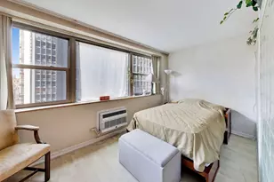 253 E Delaware Pl, Chicago, IL 60611 - Photo 15