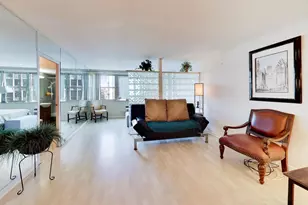 253 E Delaware Pl, Chicago, IL 60611 - Photo 9