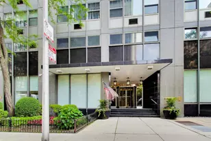 253 E Delaware Pl, Chicago, IL 60611 - Photo 3