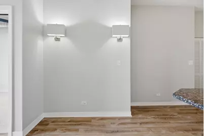 811 W 15th Place #807, Chicago, IL 60608 - Photo 21
