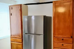827 E 48th St, Chicago, IL 60615 - Photo 3