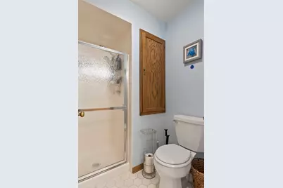905 Shagbark Road #905, New Lenox, IL 60451 - Photo 19