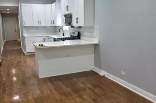 3128 S Parnell Ave, Chicago, IL 60616 - Photo 3