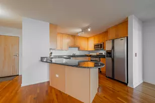 1935 S Archer Ave, Chicago, IL 60616 - Photo 5