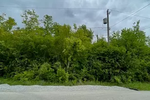22829 Woodlawn Ave, Steger, IL 60475 - Photo 3