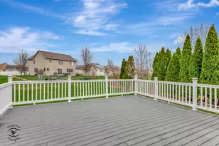 319 Mallards Cove, Beecher, IL 60401 - Photo 3