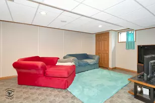 319 Mallards Cove, Beecher, IL 60401 - Photo 25