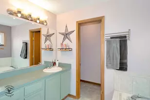 319 Mallards Cove, Beecher, IL 60401 - Photo 15