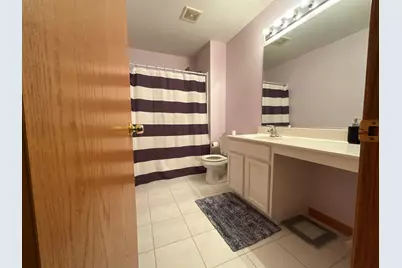 7704 Scarlett Oak Drive, Plainfield, IL 60586 - Photo 21