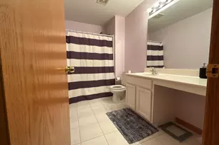 7704 Scarlett Oak Dr, Plainfield, IL 60586 - Photo 21