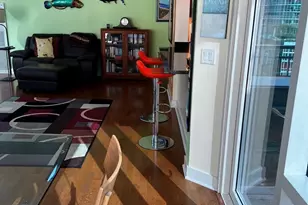 505 N McClurg Ct, Chicago, IL 60611 - Photo 19