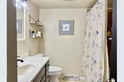 308 E South Street, Granville, IL 61326 - Photo 11