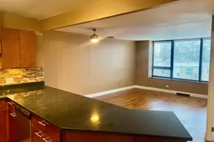 3930 N Pine Grove Ave, Chicago, IL 60613 - Photo 5