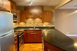 3930 N Pine Grove Ave, Chicago, IL 60613 - Photo 3