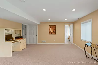 217 Ridge Road, North Aurora, IL 60542 - Photo 19