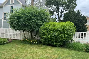 212 E Cleveland St, Spring Valley, IL 61362 - Photo 37
