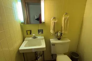 531 N York Rd, Hinsdale, IL 60521 - Photo 11
