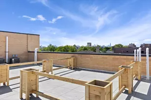 4939 N Damen Ave, Chicago, IL 60625 - Photo 19