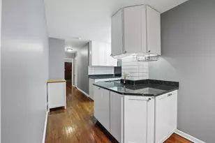 1030 W Byron St, Chicago, IL 60613 - Photo 11
