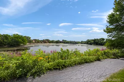 6223 Lake Park Lane #B, Willowbrook, IL 60527 - Photo 17