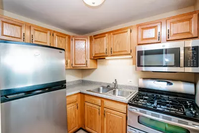 3041 S Michigan Avenue #511, Chicago, IL 60616 - Photo 7