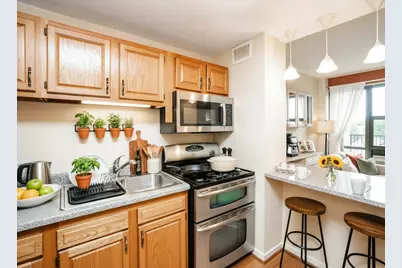 3041 S Michigan Avenue #511, Chicago, IL 60616 - Photo 5