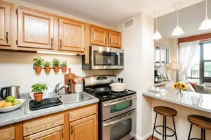3041 S Michigan Ave, Chicago, IL 60616 - Photo 5
