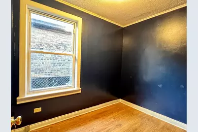 4633 S Christiana Avenue, Chicago, IL 60632 - Photo 9