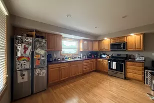 12 W Park Ave, Cherry, IL 61317 - Photo 13