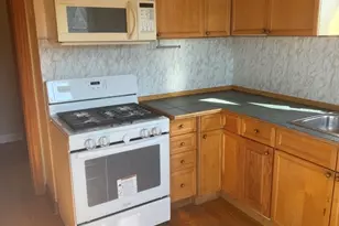 5038 N Mango Ave, Chicago, IL 60630 - Photo 15