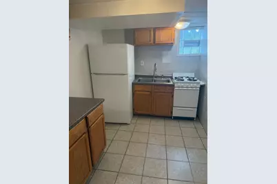 5038 N Mango Avenue, Chicago, IL 60630 - Photo 25