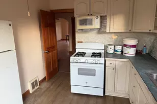 5038 N Mango Ave, Chicago, IL 60630 - Photo 3