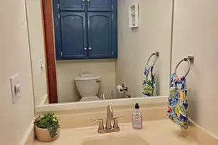 11 Chairtree Ct, Putnam, IL 61560 - Photo 31