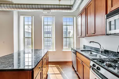 1919 S Michigan Avenue #302, Chicago, IL 60616 - Photo 3