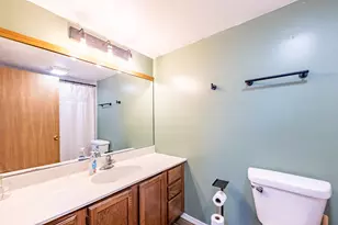 1083 Kane St, South Elgin, IL 60177 - Photo 11