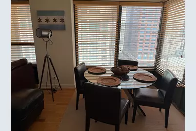 30 E Huron Street #1202, Chicago, IL 60611 - Photo 17