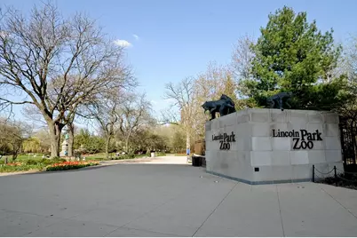 323 W Webster Avenue #3, Chicago, IL 60614 - Photo 21