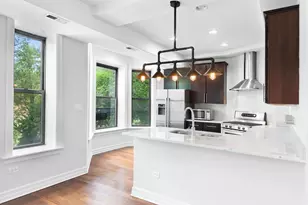 323 W Webster Ave, Chicago, IL 60614 - Photo 5